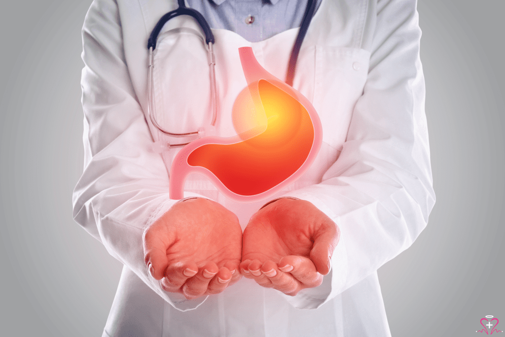 Doctor holding a stomach model to demonstrate gastroenterology concepts