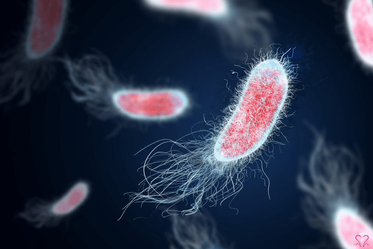 Urinary Tract Infection Panel - Microscopic image of bacteria commonly associated with urinary tract infections, showing their detailed structure against a dark background.