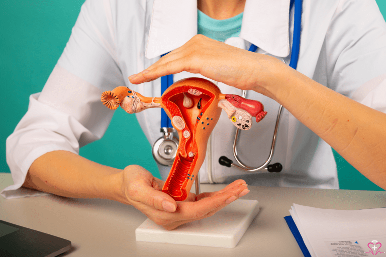 Gynecology - Gynecologist showing a model of the female reproductive system