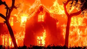 Supporting Seniors Affected by Wildfires
