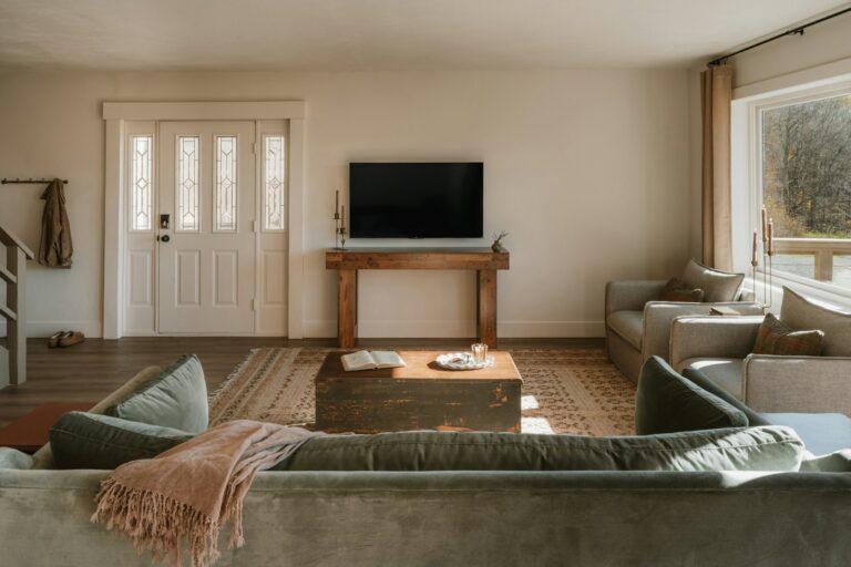 Cozy living room with sofas and television