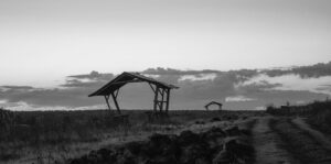 Top Social Activities for Seniors to Enhance Retirement and Aging Well - comprehensive guide for seniors and families