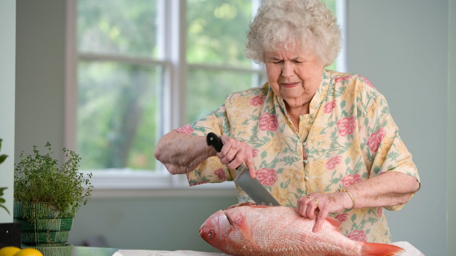 Care Coordination Services for Aging Adults and Families - All Seniors Foundation guide for seniors and caregivers