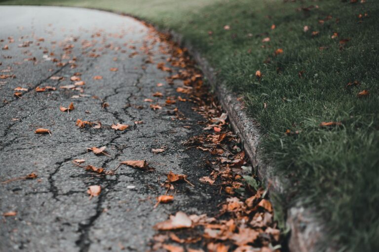 Cracked pavement with fallen autumn leaves alongside green grass, evoking fall mood.